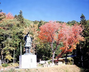 川宇連ハナノキ自生地