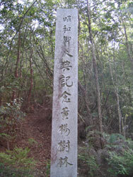 黄柳野ツゲ自生地