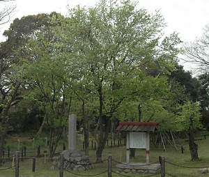 東阿倉川イヌナシ自生地