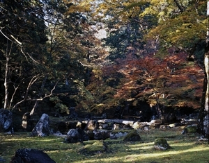 多気北畠氏城館跡<BR/>　北畠氏館跡<BR/>　霧山城跡