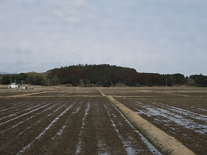 向山古墳