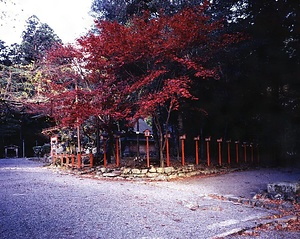 日吉神社境内