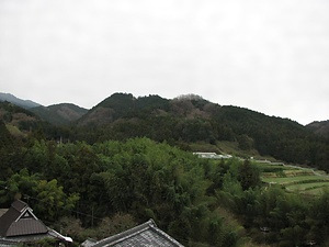 楠木城跡（上赤阪城跡）