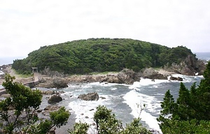 江須崎暖地性植物群落