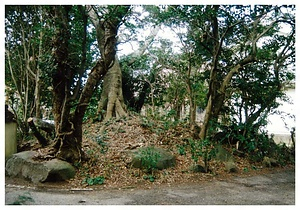 石見国分寺跡