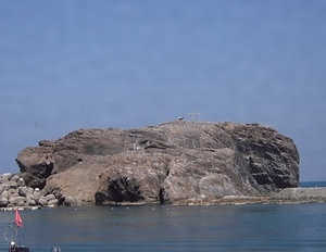 経島ウミネコ繁殖地