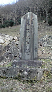 臥牛山のサル生息地