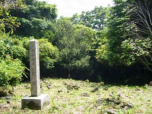 笠山コウライタチバナ自生地