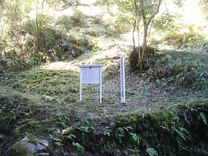 川上のユズおよびナンテン自生地