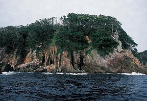 津島暖地性植物群落