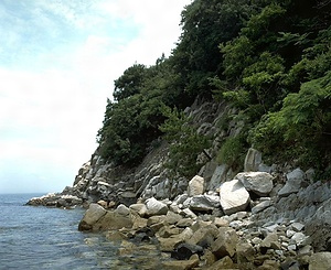 鹿浦越のランプロファイヤ岩脈