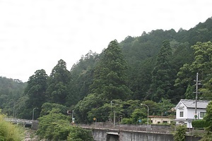 天川神社社叢