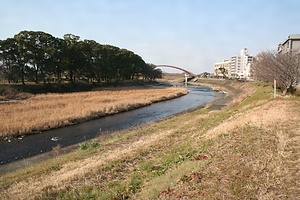 船小屋ゲンジボタル発生地