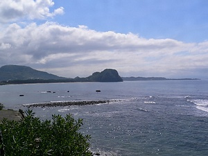 岩戸山樹叢