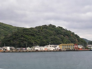 奈留島権現山樹叢