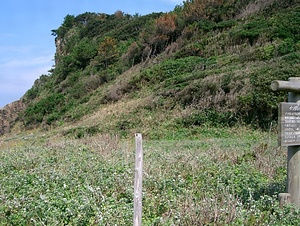 辰の島海浜植物群落