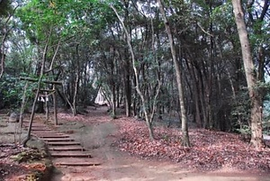 立田山ヤエクチナシ自生地