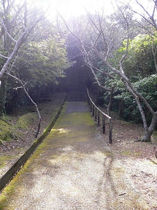 神屋・湯湾岳