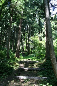 出羽仙台街道中山越