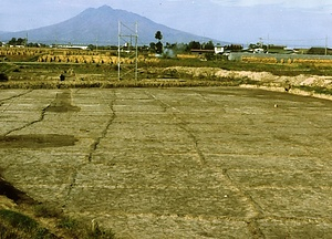 垂柳遺跡