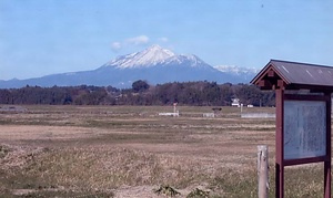 大島畠田遺跡