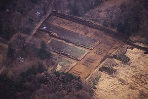 上神主・茂原官衙遺跡