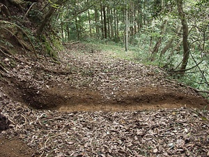 山陰道<br />
　蒲生峠越<br />
　徳城峠越<br />
　野坂峠越