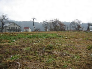 荒屋遺跡