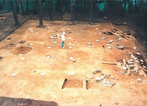 清水山城館跡