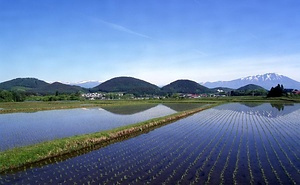 イーハトーブの風景地<br />
　鞍掛山<br />
　七つ森<br />
　狼森<br />
　釜淵の滝<br />
　イギリス海岸<br />
　五輪峠<br />
　種山ヶ原