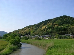 近江八幡の水郷