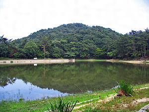 再度公園・再度山永久植生保存地・神戸外国人墓地