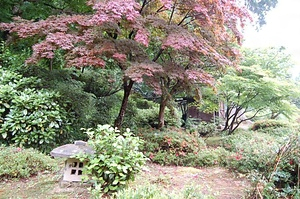 坪川氏庭園