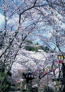 花筐公園