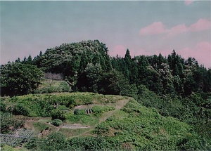 左沢楯山城跡