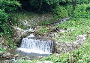 中沢川東山堰堤