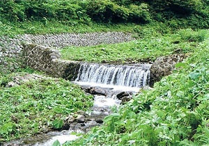 中沢川崩上流堰堤