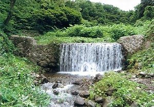 中沢川崩下流堰堤