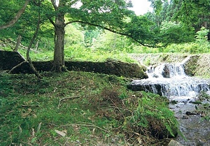 中沢川河原沢堰堤