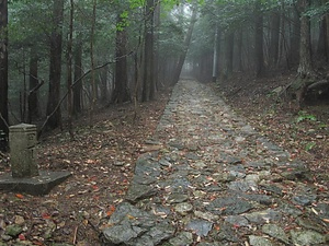 阿波遍路道<BR/>　大日寺境内<BR/>　地蔵寺境内<BR/>　焼山寺道<BR/>　一宮道<BR/>　常楽寺境内<BR/>　恩山寺道<BR/>　立江寺道<BR/>　鶴林寺道<BR/>　鶴林寺境内<BR/>　太龍寺道<BR/>　かも道<BR/>　太龍寺境内<BR/>　いわや道<BR/>　平等寺道<BR/>　平等寺境内<BR/>　雲辺寺道