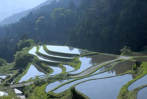 樫原の棚田及び農村景観