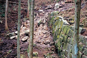 阿志岐山城跡