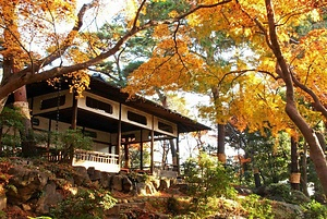 殿ヶ谷戸庭園（随冝園）