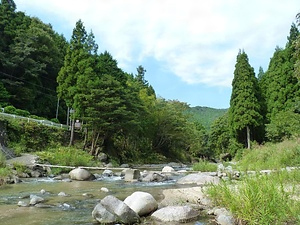 中村川ネコギギ生息地