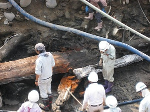 小野川の阿蘇４火砕流堆積物及び埋没樹木群