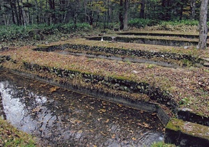 旧上高地孵化場飼育池（信州大学山岳科学総合研究所上高地ステーション観察池）