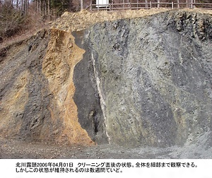 大鹿村の中央構造線（北川露頭・安康露頭）