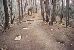 流廃寺跡