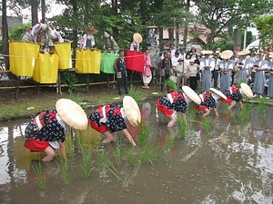 会津の御田植祭