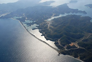 甑島長目の浜及び潟湖群の植物群落